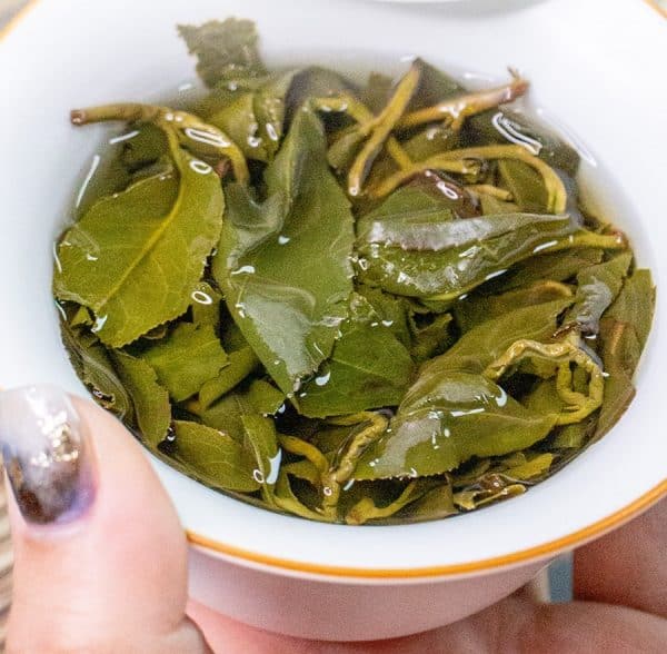 First Grade Jin Xuan Oolong (Milk Oolong) Tea from Taiwan